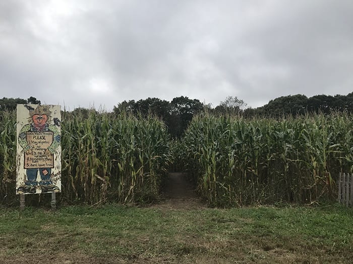 Morris Farm corn maze entrance
