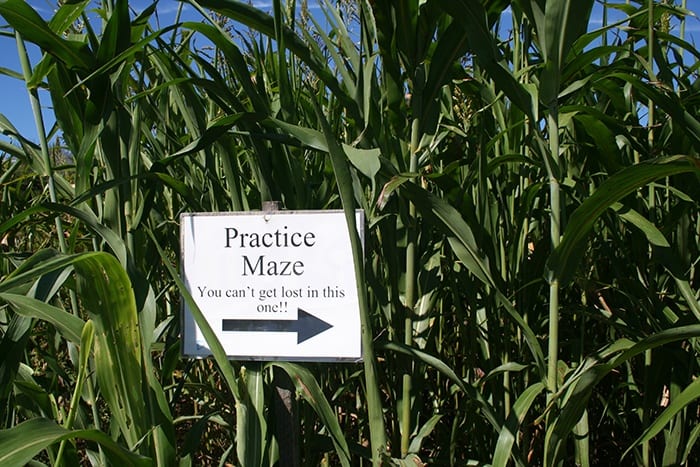 Practice maze sign in corn stalks